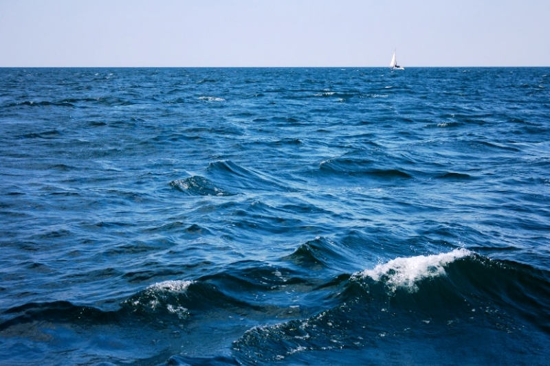 International Black Sea Day