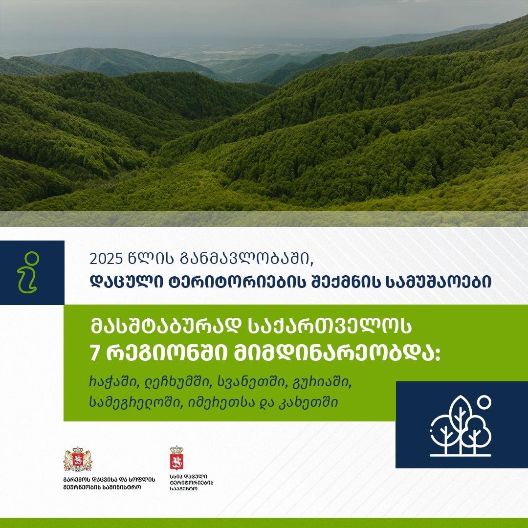 During 2025, large-scale work on the establishment of protected areas was carried out across 7 regions of Georgia