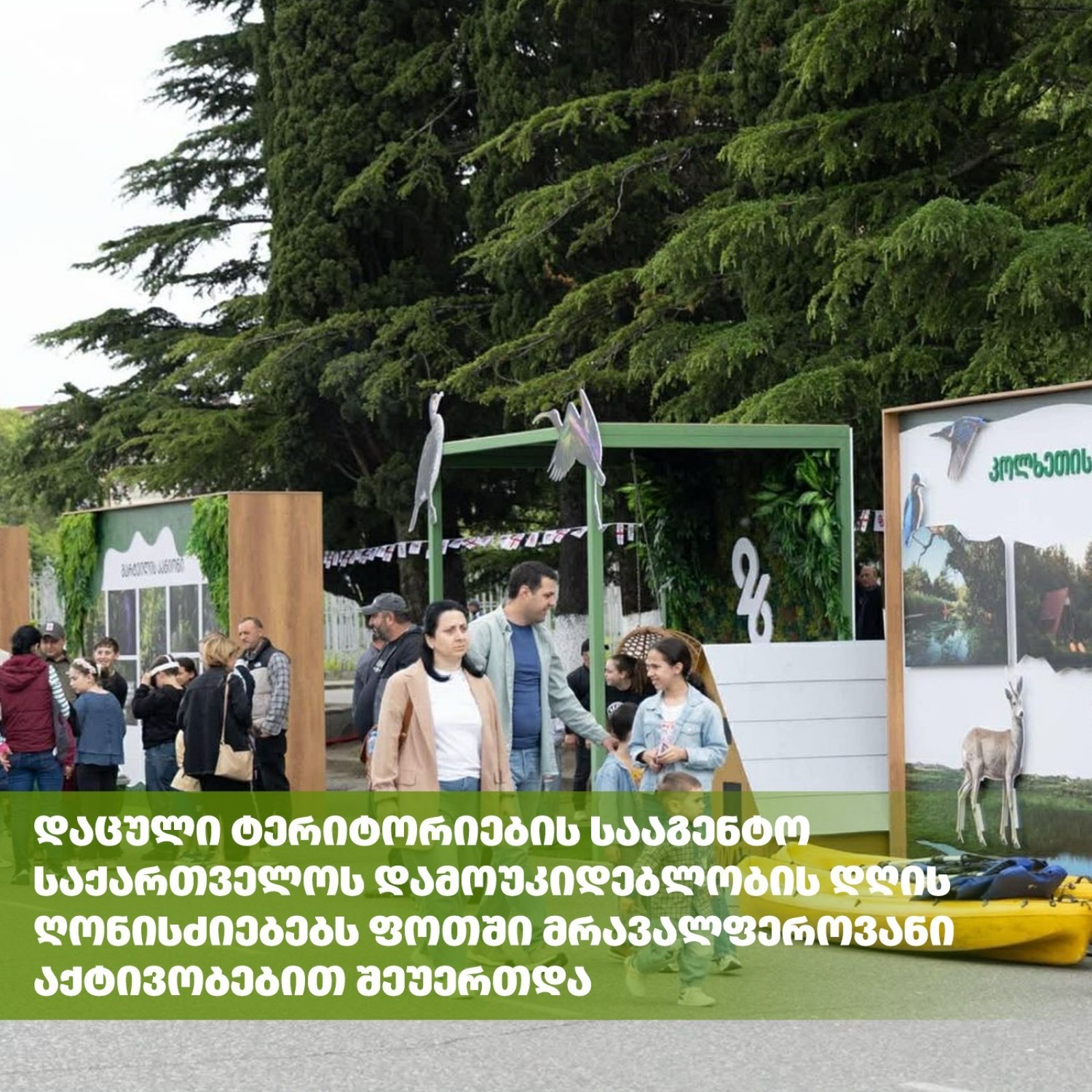 The Agency of Protected Areas Joined Georgia's Independence Day Celebrations in Poti with Diverse Activities