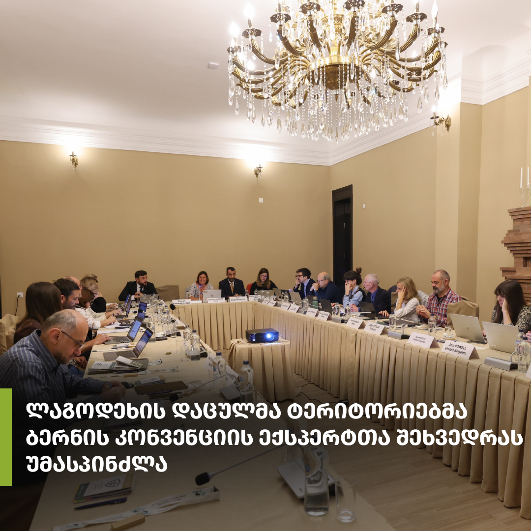 Lagodekhi Protected Areas hosted the 16th meeting of the Bern Convention’s Group of Experts on Protected Areas and Ecological Networks