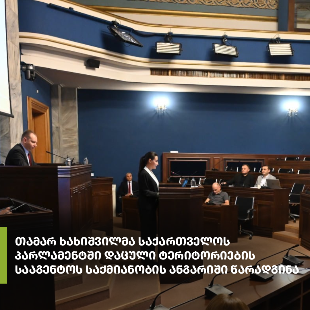 The 2026 Activity Report of the Agency of Protected Areas was presented by Deputy Chairperson of the Agency Tamar Khakhishvili at a meeting of the Environmental Protection and Natural Resources Committee