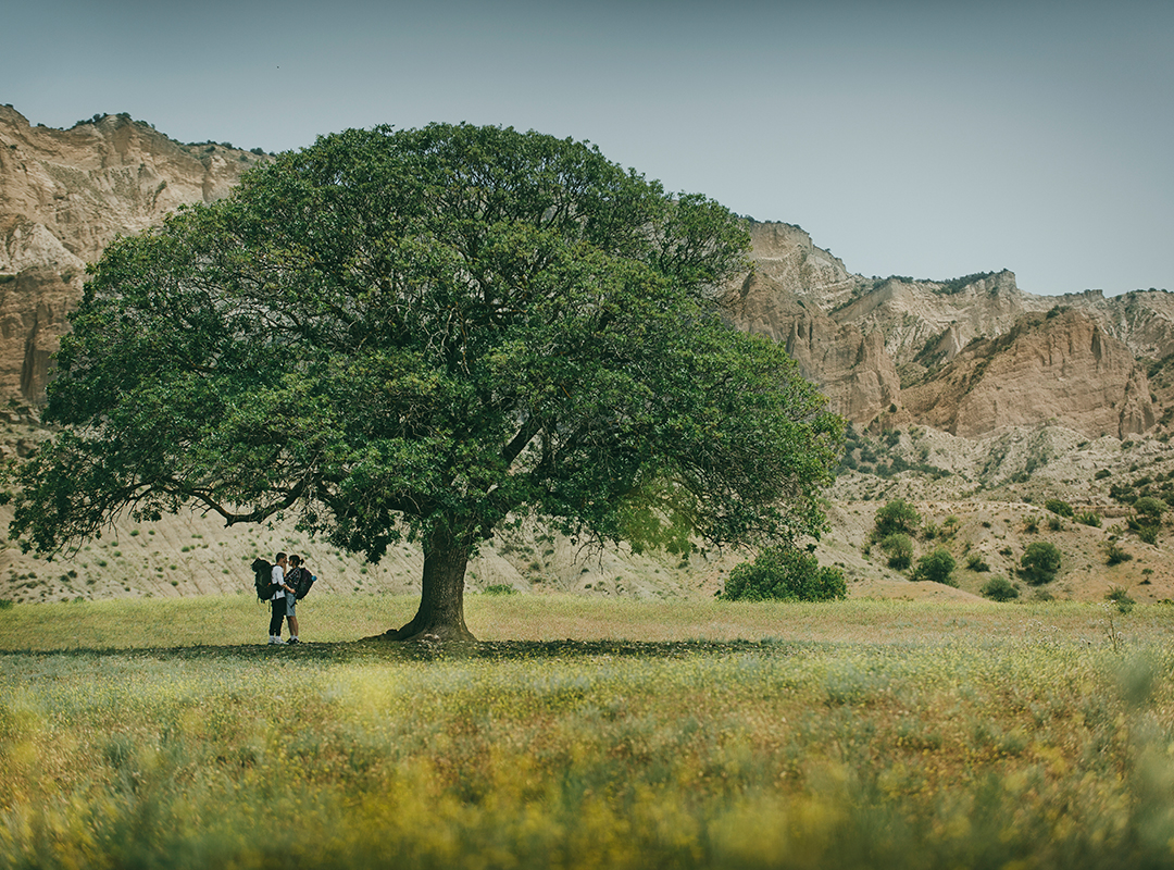 Vashlovani National Park