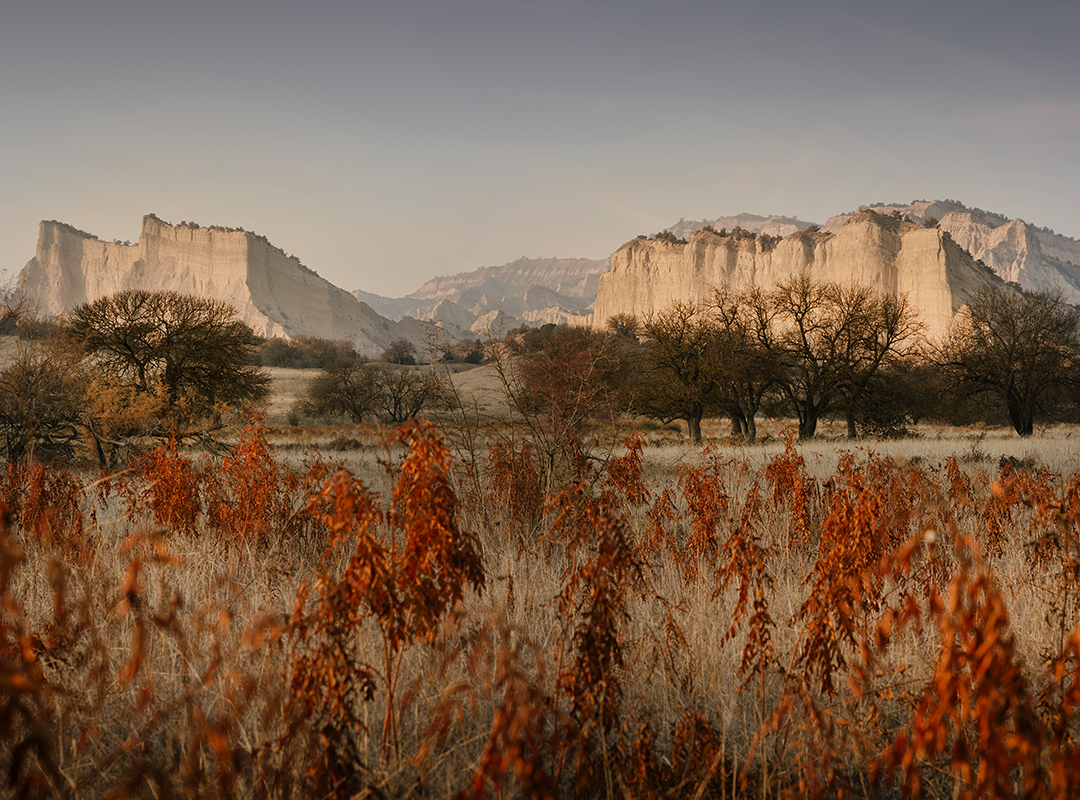 Vashlovani National Park