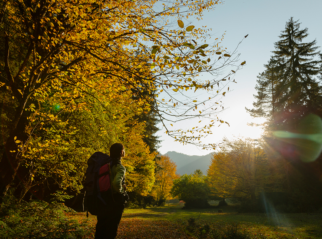 Borjomi-Kharagauli National Park