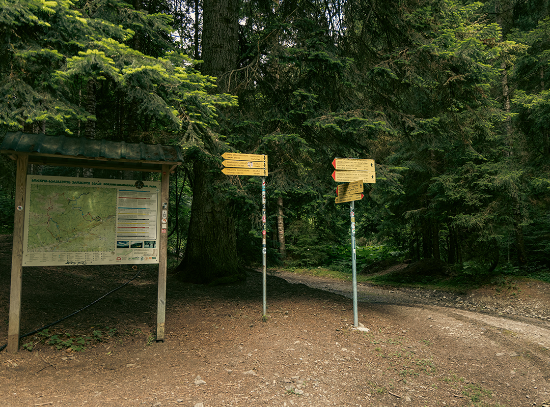 Borjomi-Kharagauli National Park