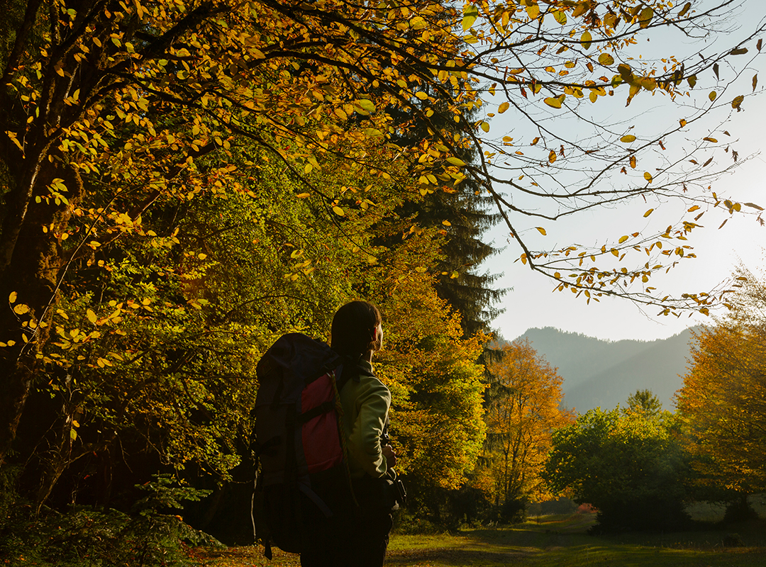 Borjomi-Kharagauli National Park