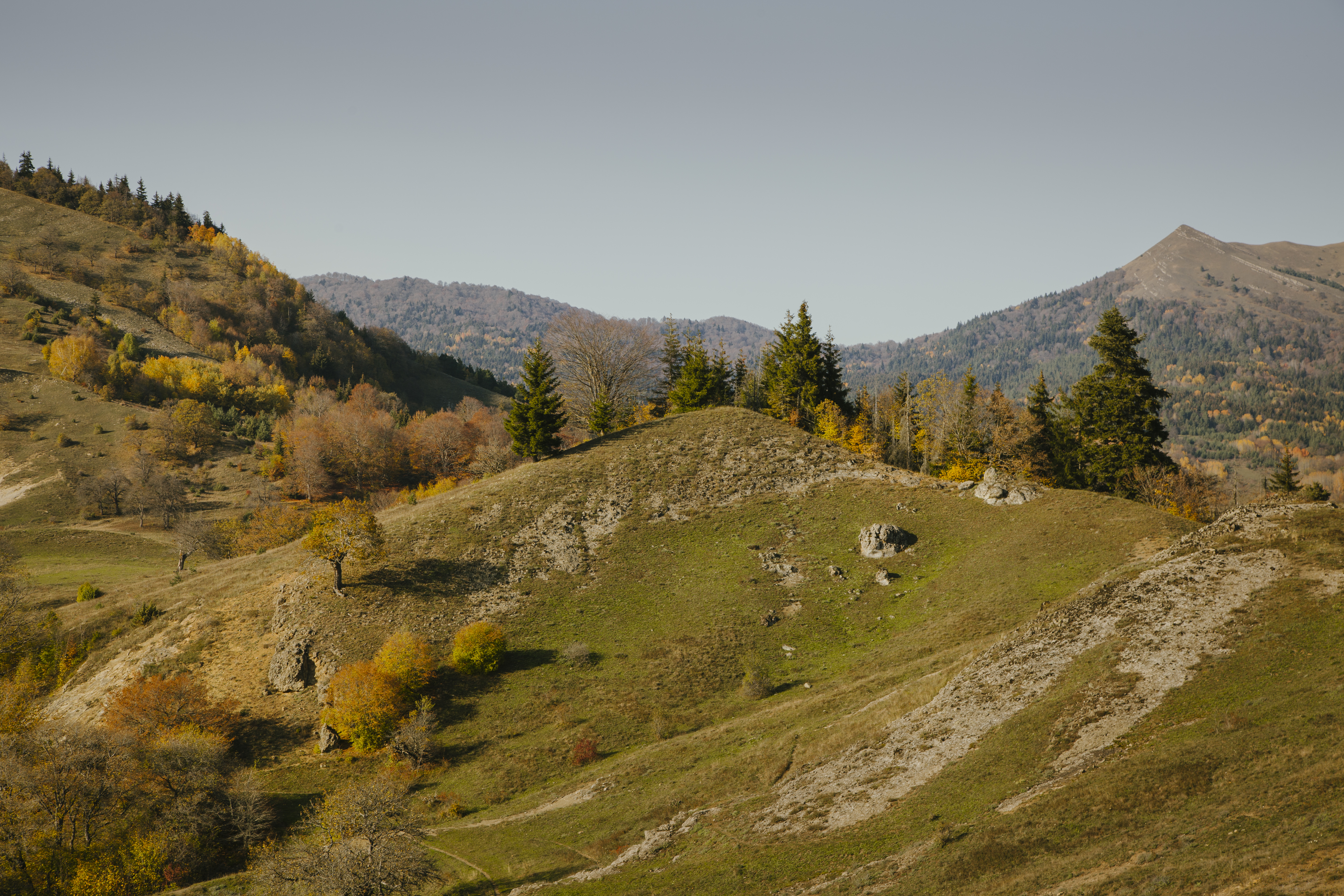 Algeti National Park