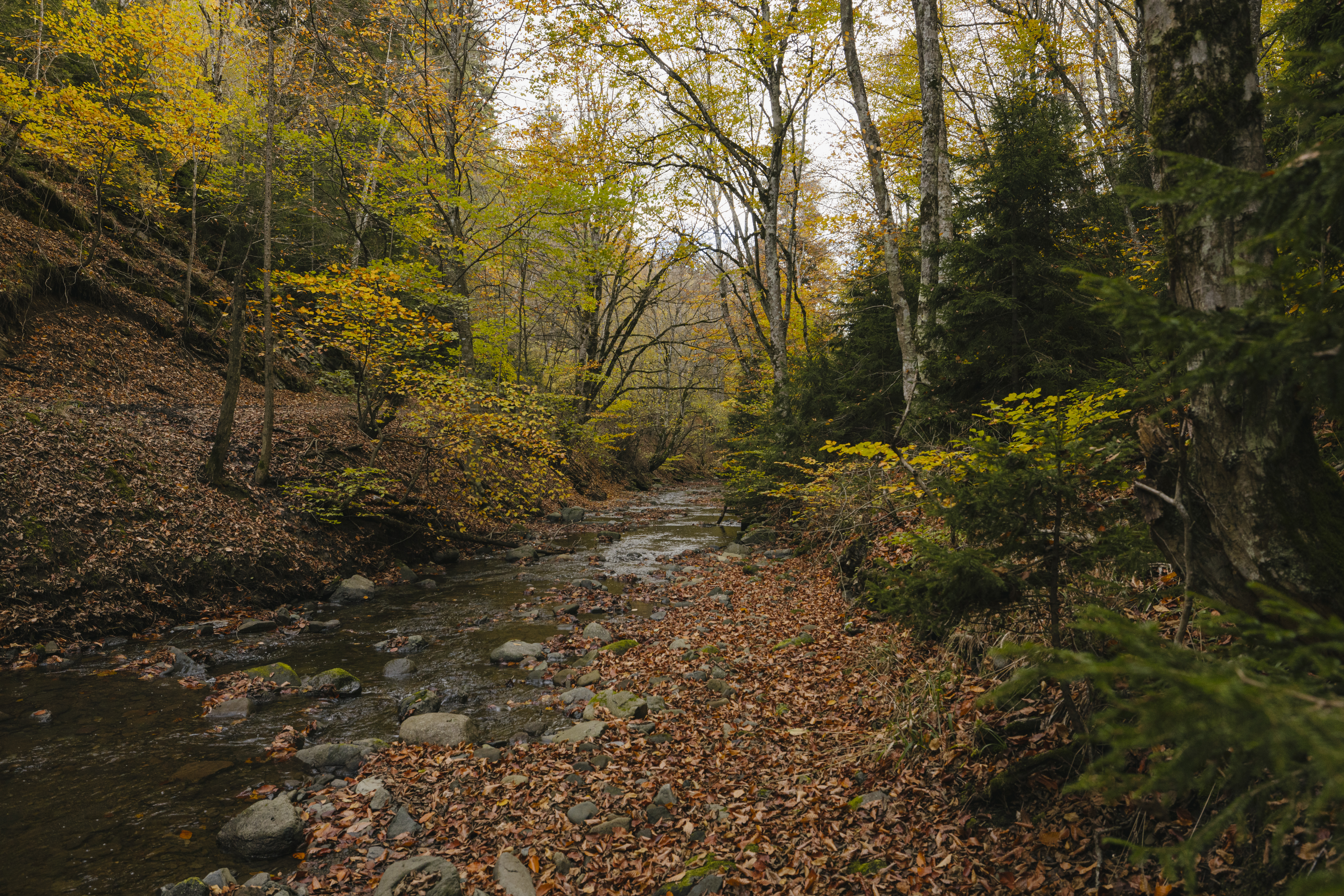 Algeti National Park