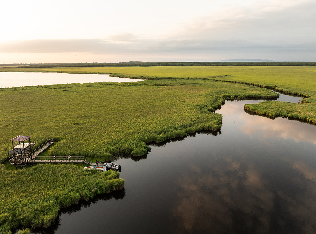 Kolkheti National Park