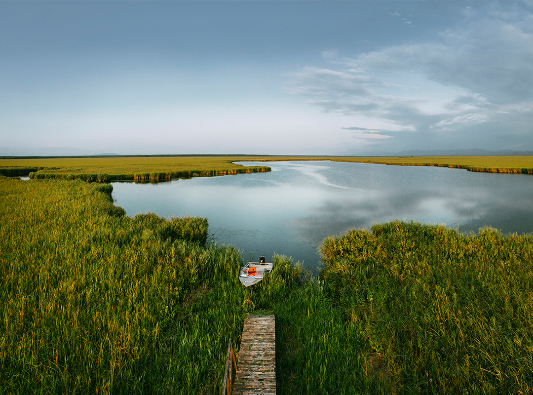 Kolkheti National Park