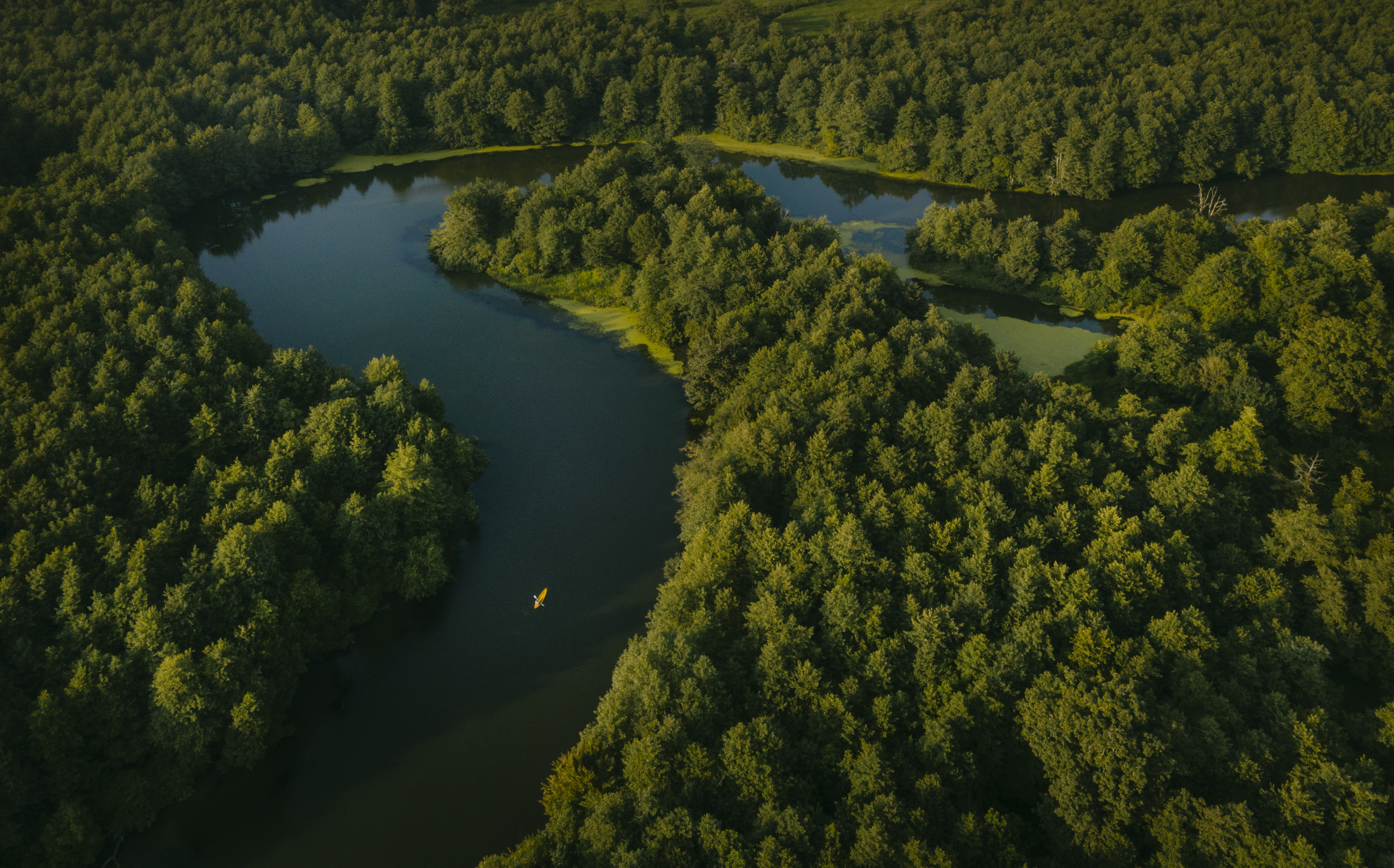 Kolkheti National Park